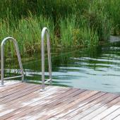 piscine naturelle ecologique filtration plante