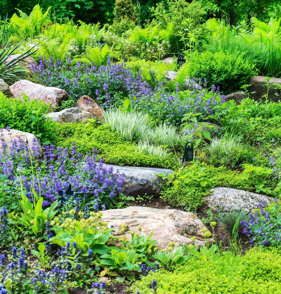 Aménager une butte plantes