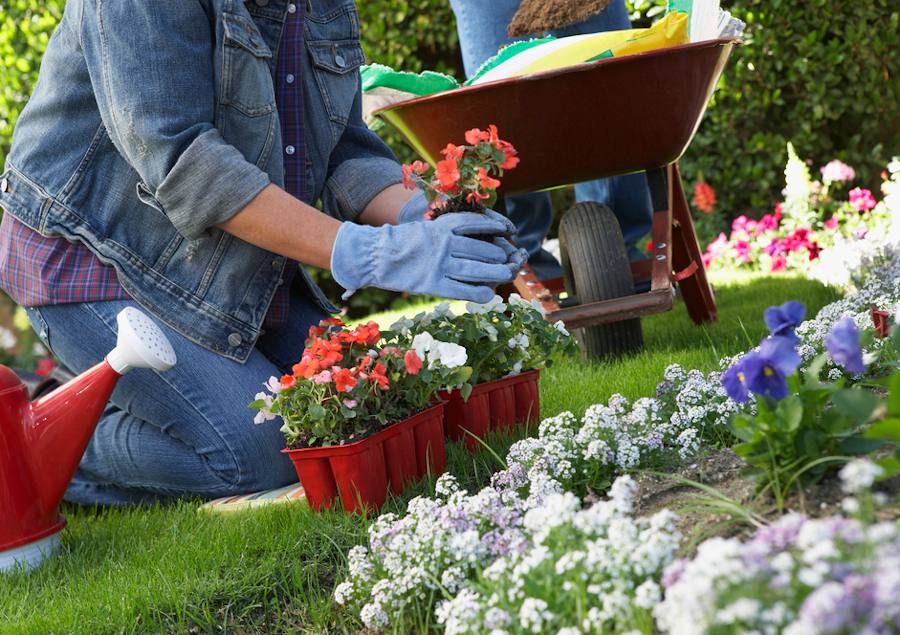 Faire une bordure fleurie