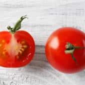Recolte graine tomate