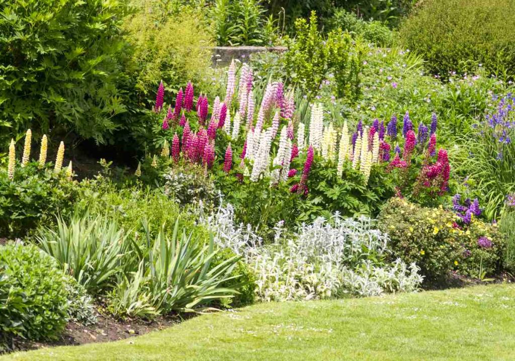 technique pour faire un massif de fleurs