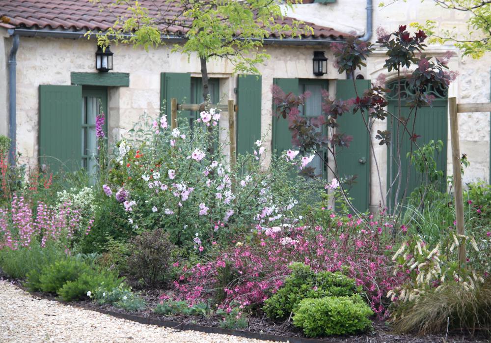 plantes facile qui pousse vite pour massif de fleurs