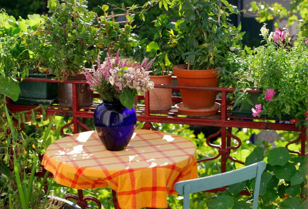 plantes pour cacher Vis a vis balcon