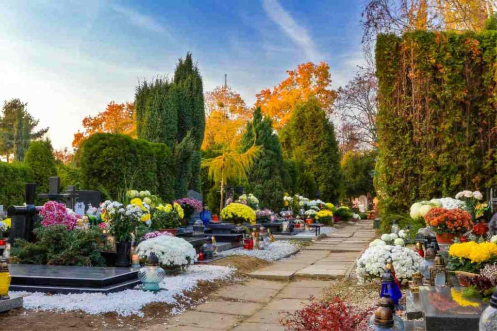 Plantes et fleurs pour fleurir une tombe au cimetière