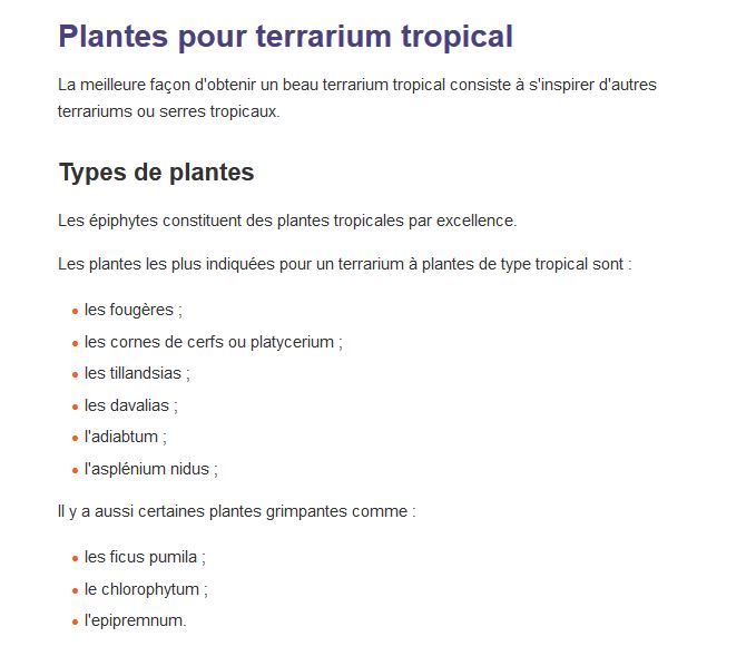 Plnates tropicales terrarium