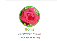 JM FLORIS MODÉRATEUR