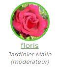 FLORIS AVATAR